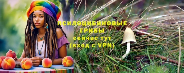 синтетический гашиш Корсаков