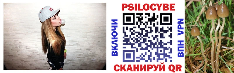 мега как войти  купить наркоту  Бердск  Галлюциногенные грибы ЛСД 